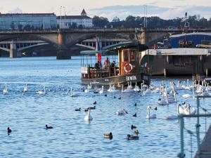 Prodej bytu 1+kk, Praha - Nusle, Bělehradská, 56 m2