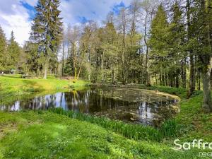 Prodej pozemku pro komerční výstavbu, Mariánské Lázně, 16545 m2