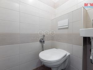 Prodej bytu 3+kk, Ostrov, Myslbekova, 67 m2