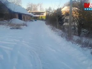 Prodej trvalého travního porostu, Oselce - Kotouň, 19732 m2