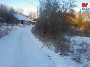 Prodej trvalého travního porostu, Oselce - Kotouň, 19732 m2
