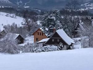 Prodej bytu 5+kk, Vysoké nad Jizerou, K. Havlíčka Borovského, 164 m2