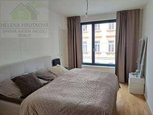 Pronájem bytu 4+kk, Praha - Žižkov, Krásova, 90 m2