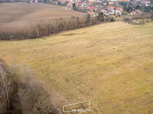 Prodej zemědělské půdy, Břasy, 11131 m2