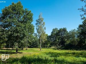 Pronájem pozemku pro komerční výstavbu, Jeníkov, 13072 m2