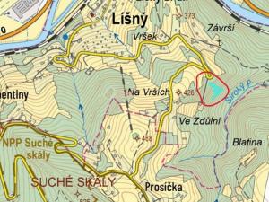 Prodej podílu lesa, Líšný, 1047 m2