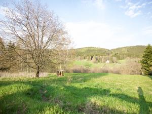 Prodej zemědělské usedlosti, Jívka, 500 m2