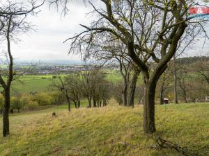 Prodej zemědělské půdy, Kostelec u Holešova, 1397 m2