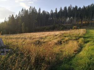 Prodej pozemku, Želnava, 14303 m2