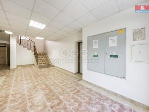 Prodej ubytování, Petrovice - Krásný Les, 800 m2