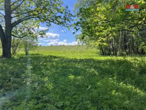 Prodej rodinného domu, Světlá Hora - Stará Voda, 90 m2