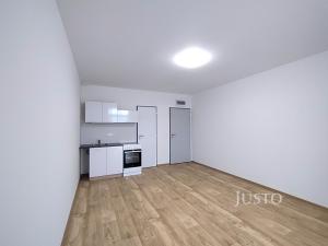 Pronájem bytu 1+kk, Čížová, 20 m2