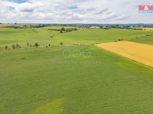 Prodej zemědělské půdy, Horní Bělá, 5000 m2