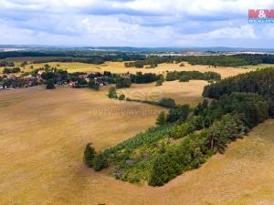 Prodej lesa, Kostelec nad Vltavou - Sobědraž, 13357 m2