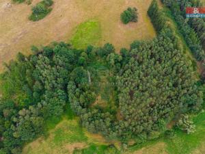 Prodej lesa, Kostelec nad Vltavou - Sobědraž, 13357 m2