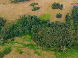 Prodej lesa, Kostelec nad Vltavou - Sobědraž, 13357 m2