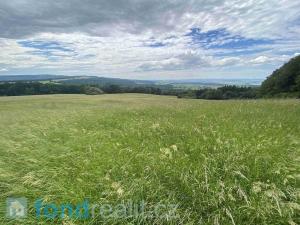 Prodej zemědělské půdy, Korytná, 7545 m2