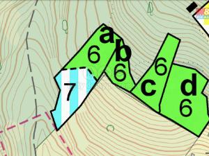 Prodej lesa, Malhostovice, 4006 m2