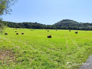 Prodej trvalého travního porostu, Třebušín, 74552 m2