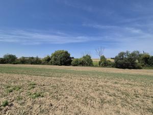 Prodej zemědělské půdy, Brandýs nad Labem-Stará Boleslav, 11346 m2