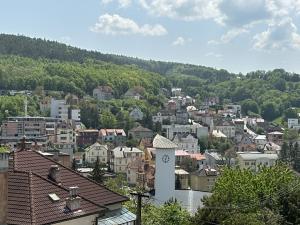 Pronájem bytu 1+kk, Luhačovice, 18 m2