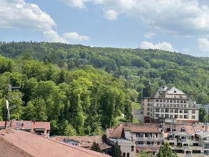 Pronájem bytu 1+kk, Luhačovice, 18 m2