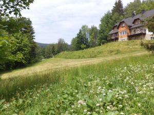 Prodej pozemku, Říčky v Orlických horách, 1153 m2