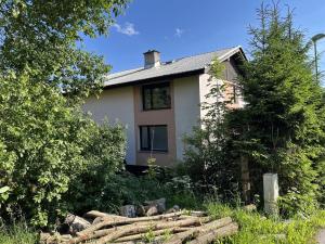 Prodej rodinného domu, Vysoké nad Jizerou, Staroveská, 132 m2