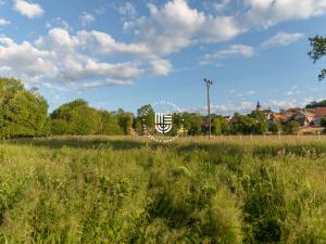 Prodej pozemku, Třebušín, 120000 m2