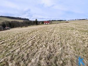 Prodej pozemku pro bydlení, Jindřichov, 29065 m2