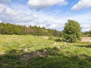 Prodej pozemku pro bydlení, Zbiroh, Líšenská, 133269 m2