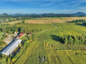 Prodej pozemku pro komerční výstavbu, Brniště, 13544 m2