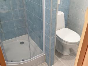 Pronájem bytu 2+kk, Teplice, Trnovanská, 40 m2