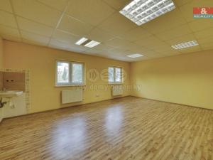 Prodej obchodního prostoru, Toužim, Plzeňská, 600 m2