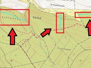 Prodej lesa, Červený Hrádek, 6531 m2