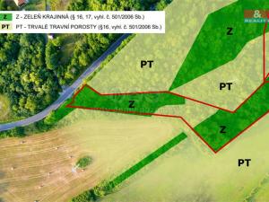 Prodej trvalého travního porostu, Česká Lípa, 7982 m2