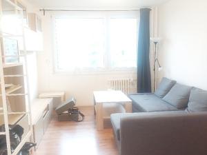 Prodej bytu 2+kk, Praha - Ruzyně, Vlastina, 48 m2