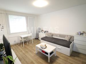 Pronájem bytu 1+kk, Mělník, Nová, 34 m2