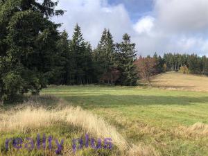 Prodej trvalého travního porostu, Bedřichov, 1628 m2