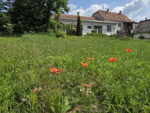 Prodej rodinného domu, Bačice, 160 m2