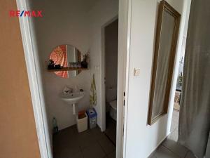 Pronájem obchodního prostoru, Hodonín, Měšťanská, 50 m2