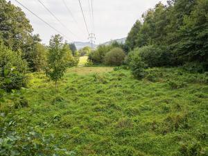 Prodej trvalého travního porostu, Liberec, U Tří studní, 6759 m2