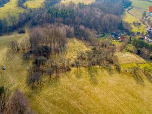 Prodej trvalého travního porostu, Žandov - Radeč, 3251 m2