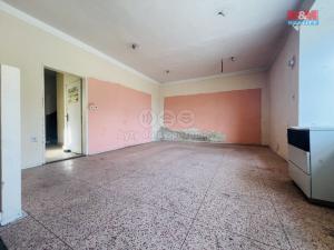 Prodej obchodního prostoru, Ostrožská Nová Ves, Lhotská, 160 m2