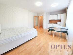 Pronájem bytu 1+kk, Praha - Vinohrady, U Zvonařky, 36 m2