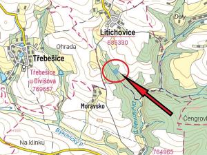 Prodej lesa, Litichovice, 5963 m2