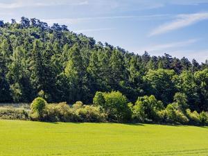 Prodej rodinného domu, Zdice, Družstevní, 270 m2