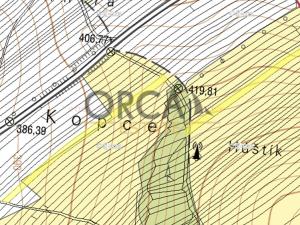 Prodej zemědělské půdy, Pitín, 5921 m2