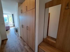 Prodej bytu 1+kk, Všemina, 28 m2