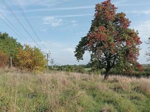 Prodej pozemku pro bydlení, Kouřim, Na Salabce, 6717 m2